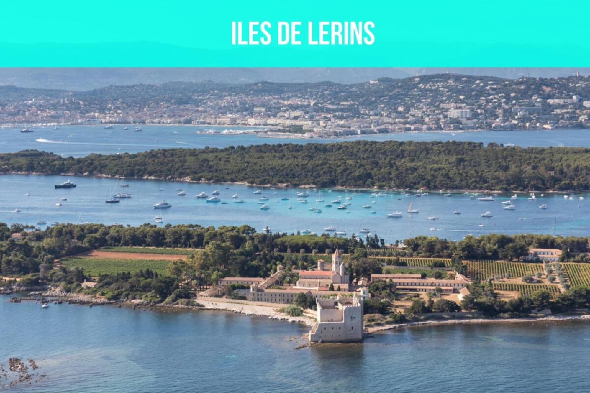 קאן Les Sorbiers - Centre Ville - Spacieux & Climatisation מראה חיצוני תמונה